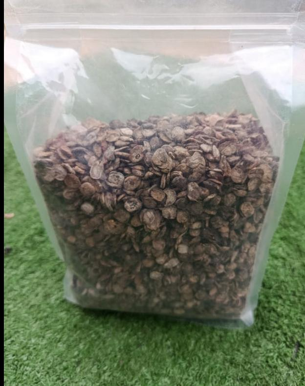 Daddawa (Locust Beans)